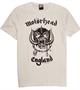 AMPLIFIED T-SHIRT MOTORHEAD