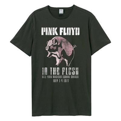 AMPLIFIED T-SHIRT PINK FLOYD