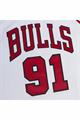 MITCHELL & NESS NBA JERSEY BULLS