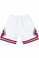 MITCHELL & NESS NBA SHORTS BULLS