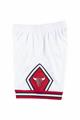 MITCHELL & NESS NBA SHORTS BULLS