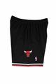 MITCHELL & NESS NBA SHORTS BULLS